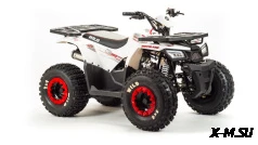 Квадроцикл MOTOLAND (МОТОЛЕНД) 125 WILD