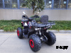 Квадроцикл GBM MAVERICK 300 (2024)